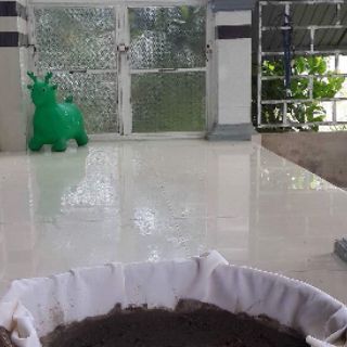 COMBO 4 CHAI NƯỚC MẮM CÁ LINH