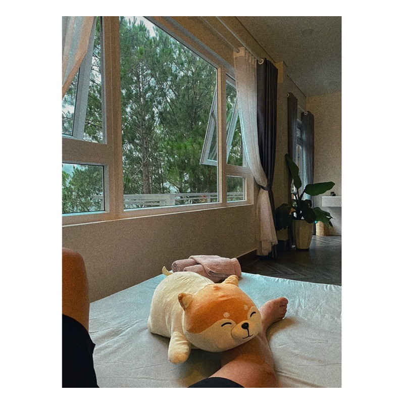 Thú nhồi bông chó Shiba cao cấp, cùng bạn đi muôn nơi