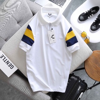 Áo Thun Polo bẻ chất cổ thun cá sấu poly