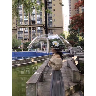 Bán Sỉ - Ô Dù Đi Mưa Trong Suốt, Họa Tiết  Hoa Cúc Chụp Ảnh SIêu XInh - TOPSI.VN