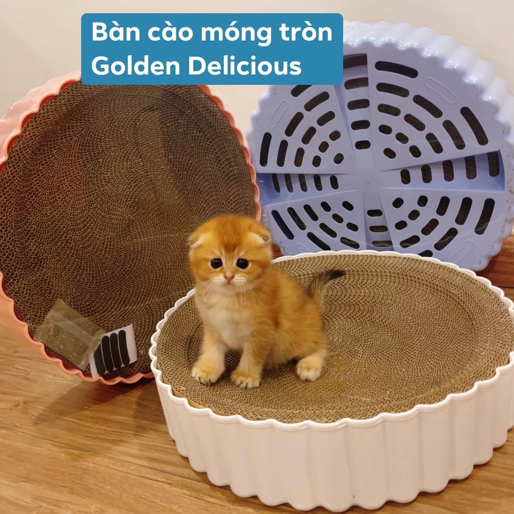 Bàn Cào Móng Hình Tròn Kiêm Đệm Nằm Cho Mèo Size Lớn 39cm (Có Lõi Thay Thế Tiết Kiệm) - Ảnh Thật Sản Phẩm Kèm Người Mẫu