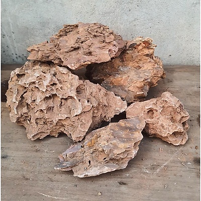 Đá Tiger 1 Kg - Đá Trang Trí Bể Thủy Sinh, Bán Cạn