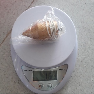 Quả dọi thăng bằng xây dựng