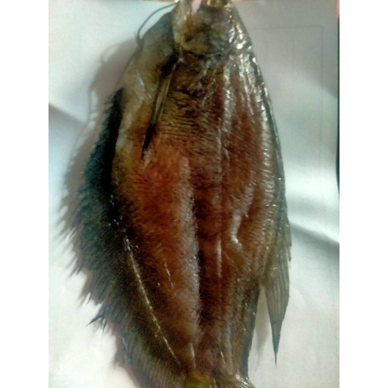 500g Khô Cá Sặc cà mau hàng ngon y hình