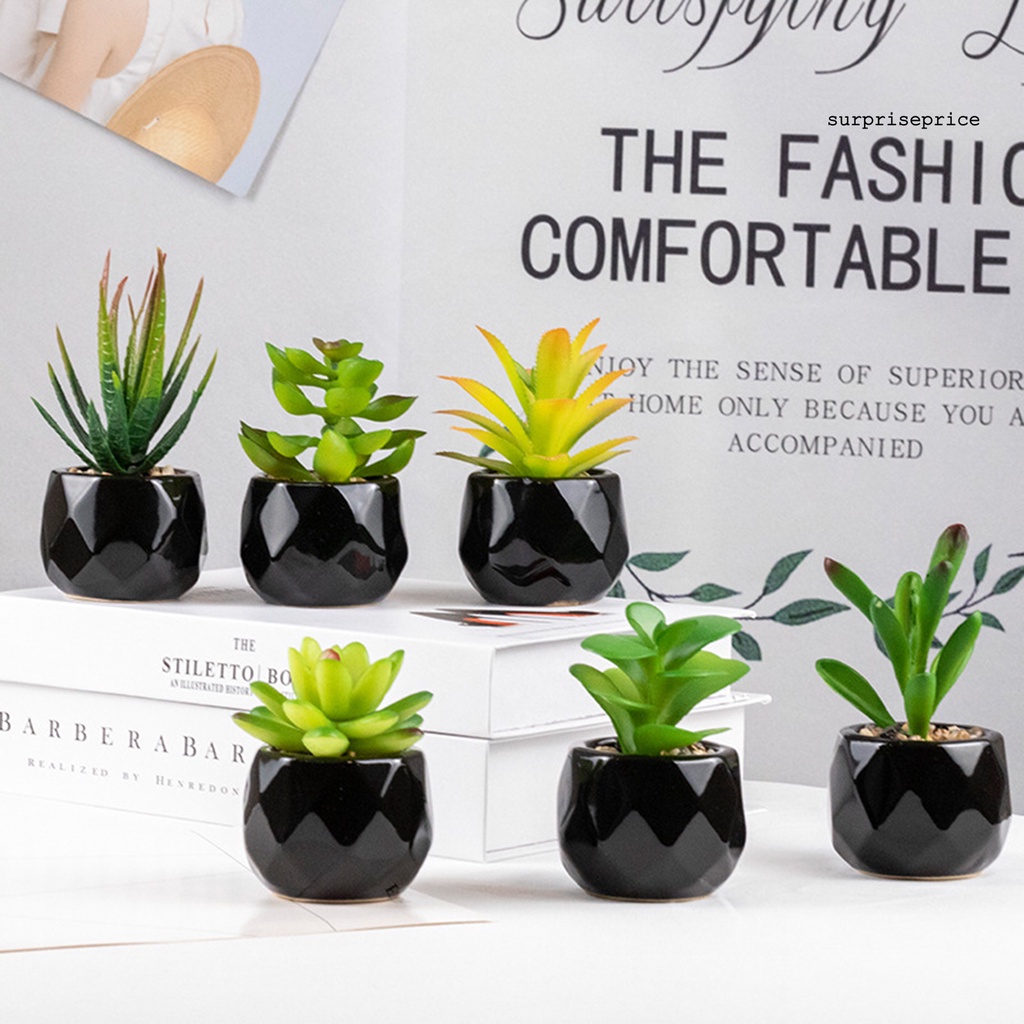 Chậu cây bonsai giả bằng PVC có thể tái sử dụng trang trí nhà cửa