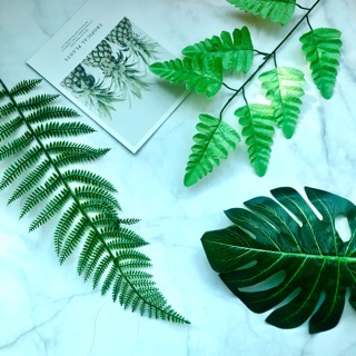 Combo 3 chiếc lá cọ làm phụ kiện chụp ảnh