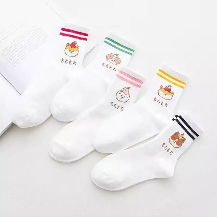 Set 5 Đôi Tất Vớ Nữ Gấu Trắng Cao Cổ Như Hình