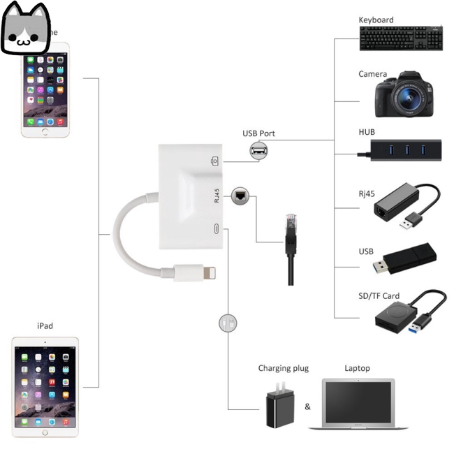 Lightning to RJ45 Ethernet Adapter LAN Wired Network Cable USB Camera Reader Adapter with Charing Port