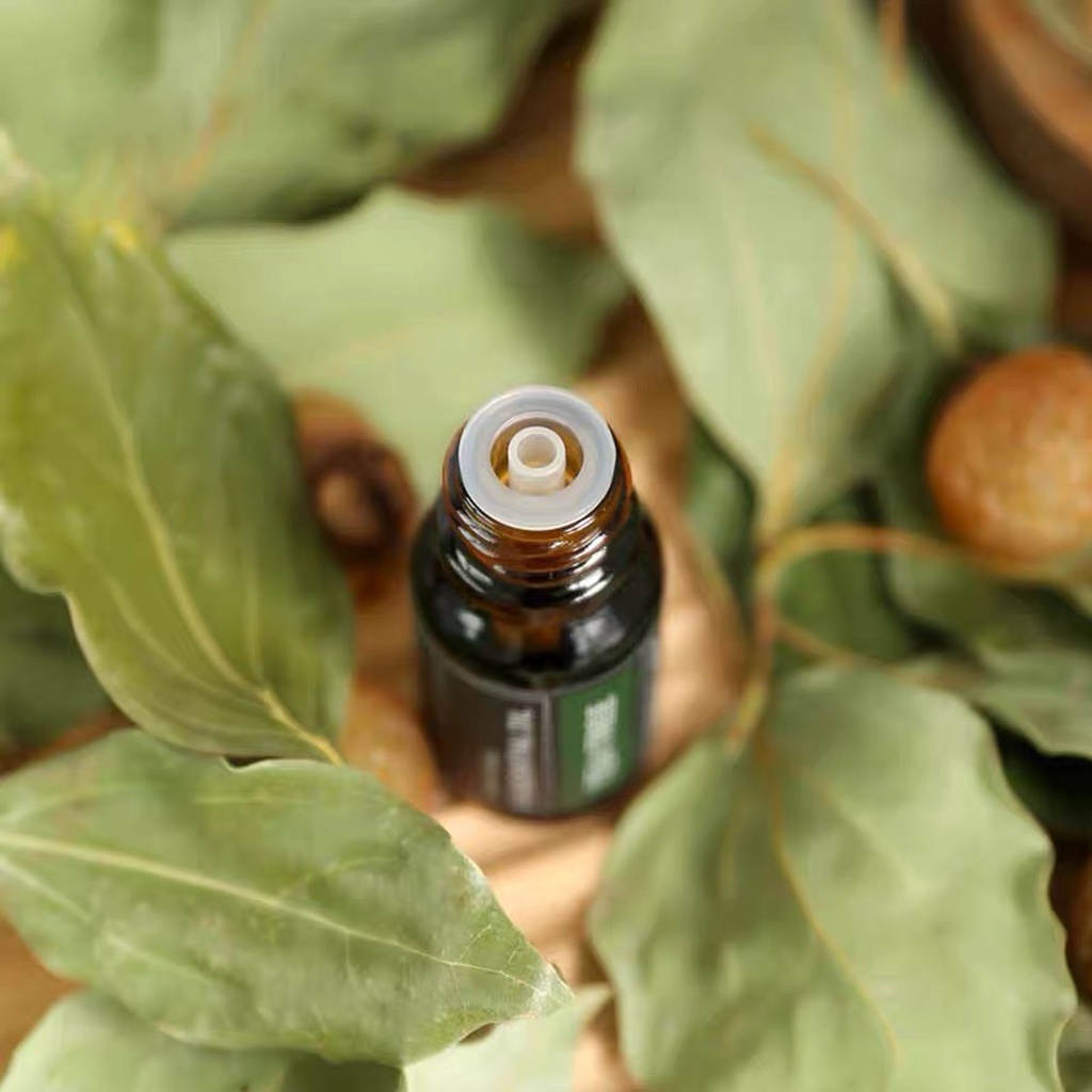 Tinh Dầu Thơm Phòng, Tinh Dầu Nguyên Chất, Thiên Nhiên, Nhiều Hương Thơm, Dung Tích 10ml