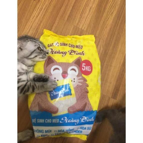 [Siêu Rẻ] Cát vệ sinh cho mèo giá rẻ Hoàng Đình không mùi 5kg.