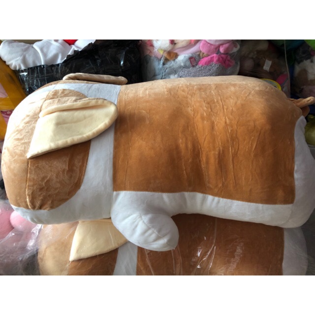 Combo 2 Gối Chó shiba