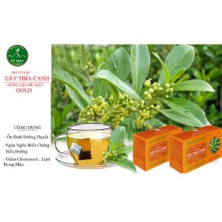 Trà túi lọc Dây Thìa Canh