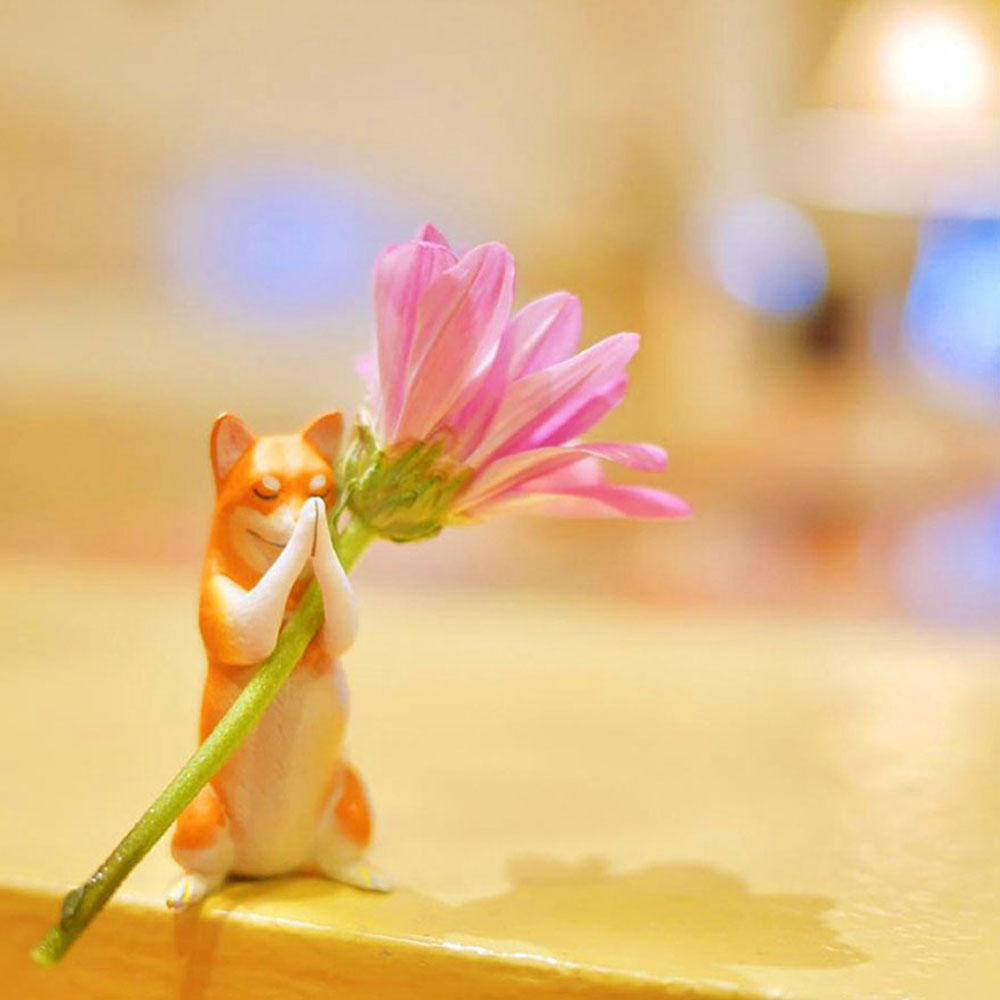 Bộ 5 Mô Hình Chú Chó Shiba Dễ Thương Trang Trí