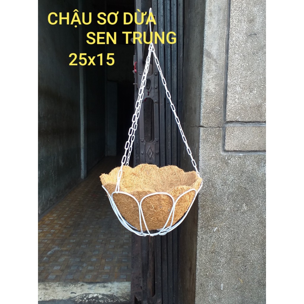 Chậu treo sơ dừa