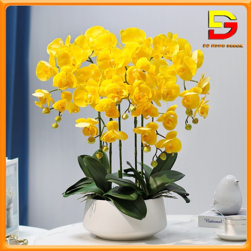 Bình Hoa Lan Hồ Điệp Cao Su Y Thật Hoa Để Bàn Cao 60cm Trang Trí Phòng Khách Quầy Lễ Tân DG-125