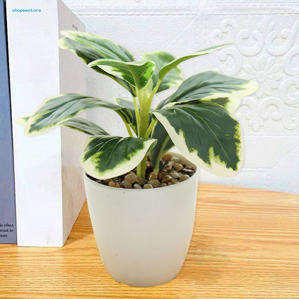 Cây Cảnh Giả Sống Động Như Thật Trang Trí Đám Cưới