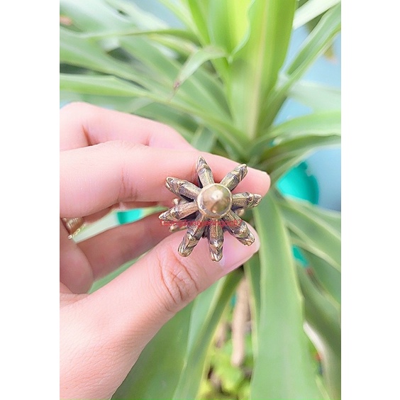 Chày kim cang 8 chấu mật tông