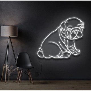 Đèn Led Thú Cưng 2