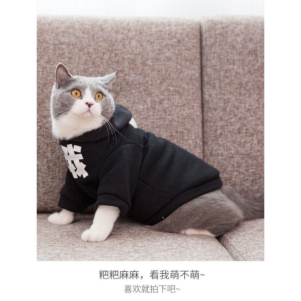 Áo Hoodie In Chữ Tiếng Anh Dễ Thương Cho Mèo Cưng