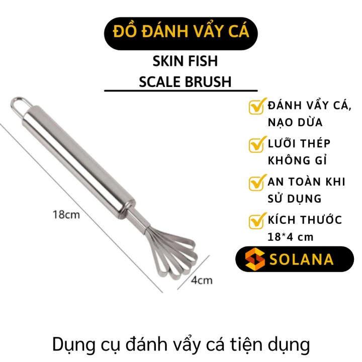 Đánh Vảy Cá - Dụng Cụ Nạo Dừa Đa Năng 2in1 Siêu Tốc 5 Rãnh Tròn, Inox 304 Tiện Dụng 3176