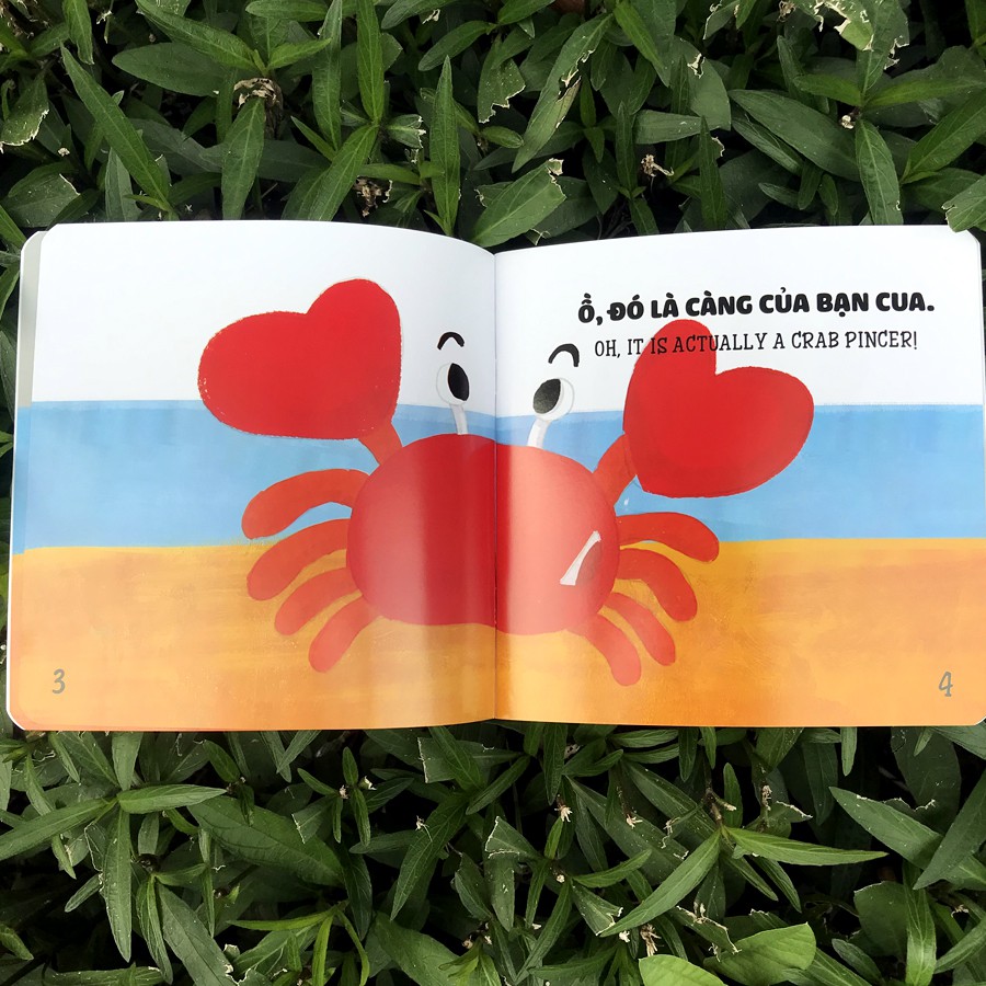 Sách - Ehon Nhận Biết - Cái Gì Thế Nhỉ? Song ngữ Anh - Việt cho bé 0-6 tuổi (4 quyển lẻ tùy chọn)