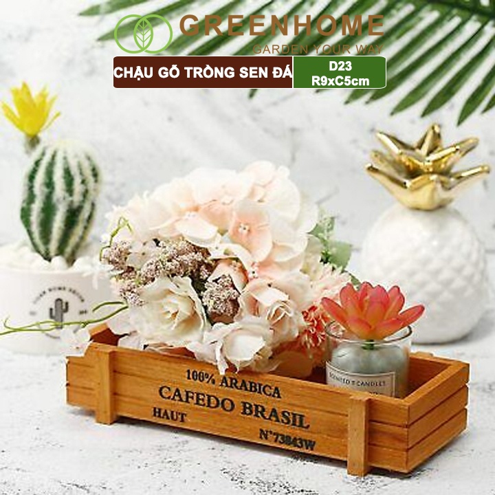 Chậu gỗ trồng sen đá Greenhome cafedo, D23xR9xC5cm, trang trí cây cảnh để bàn, xương rồng, nhiều màu để lựa chọn