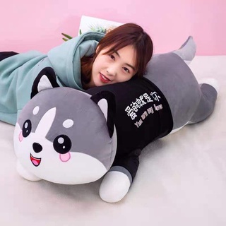Gấu bông mèo husky