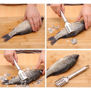 Cây đánh vẩy cá đa năng