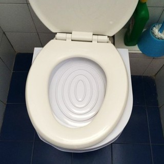 Đồ tập đi vệ sinh đặt trên toilet cho mèo