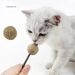 Que Catnip kẹo mút cho mèo