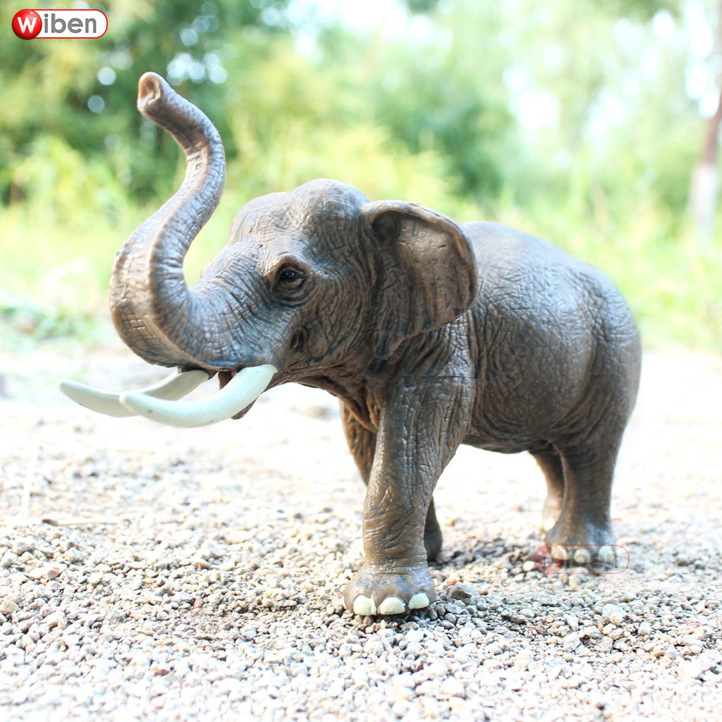 ✟Đồ chơi voi mô phỏng thế giới động vật hoang dã hình đực bằng nhựa đặc sản trẻ em 3-6 tuổi