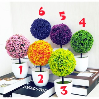 Chậu cây cẩm tú cầu cành hoa thược dược cắm để bàn để bàn trang trí cực sang woo