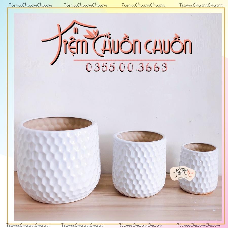 Chậu Sứ Cỡ Lớn Vân Tổ Ong Trồng Cây Cảnh Trong Nhà - chậu cây cảnh - tiệm chuồn chuồn - Sứ Bát Tràng