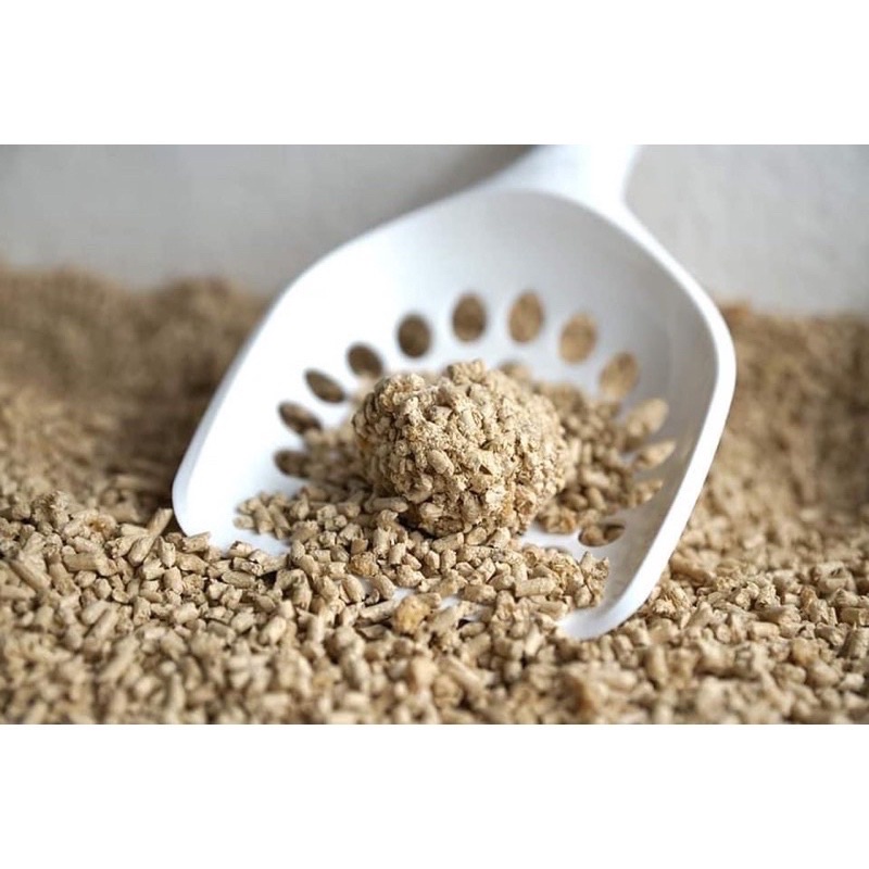 Cát Gỗ Cature Smart Pellet 6L(2.4kg)