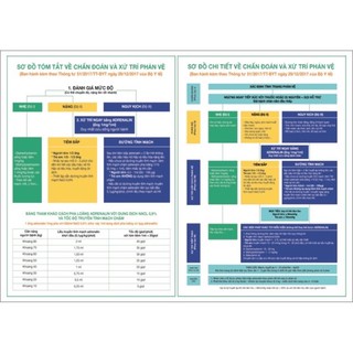 Tranh phác đồ sơ cứu bản 2 tờ mới nhất ( chất liệu dán, khổ 50 x 70 cm) có bán file in