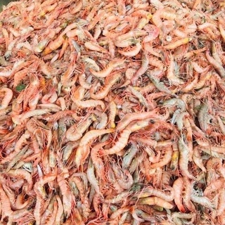 [ PHÚ NHUẬN]𝐍𝐎̃𝐍 𝐓𝐎̂𝐌 𝐁𝐈𝐄̂̉𝐍 𝐓𝐔̛𝐎̛𝐈 𝐍𝐆𝐎𝐍 1 KG