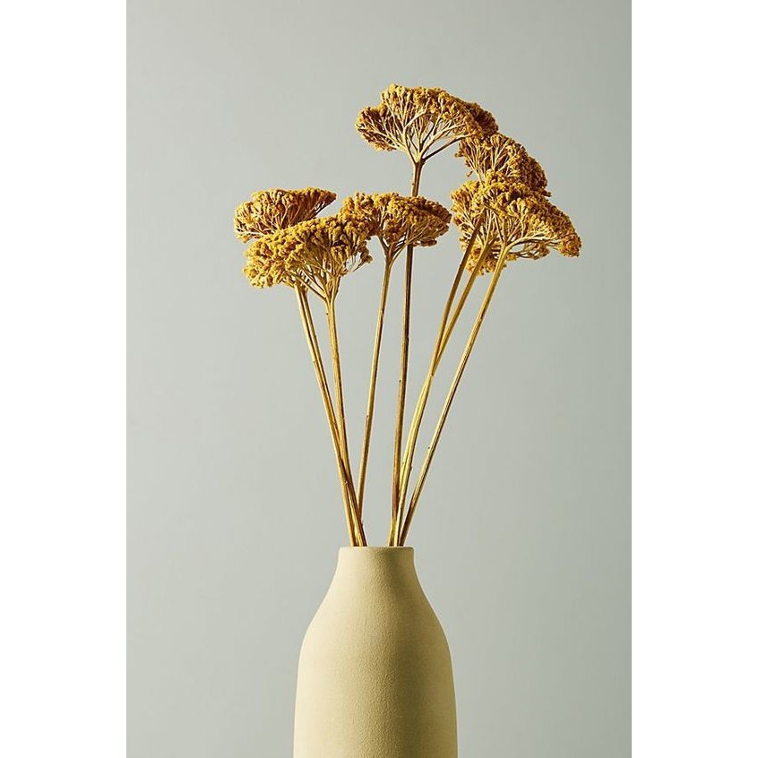 [HÀNG HIẾM] Hoa khô trang trí phong cách Bắc Âu ❤️FREESHIP❤️ Hoa khô Yarrow decor nhà cửa, tiệc cưới retro vintage