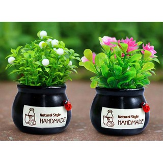 [ HOT ] { GIÁ HỦY DIỆT } Chậu cây mini trang trí Taplo xe hơi, ô tô. [ BẢO HÀNH 1 ĐỔI 1 ]