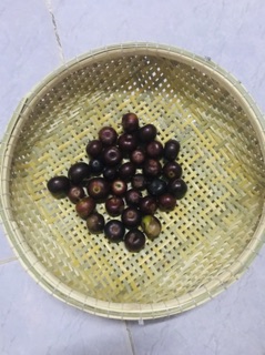 Rổ tre vỏ tre