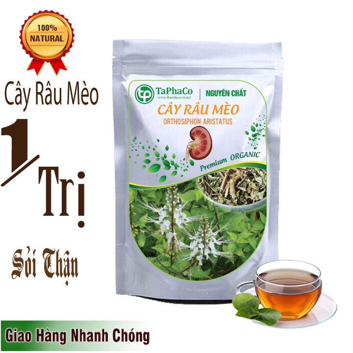 Cây râu mèo sấy khô , Trà cây râu mèo - Đánh bay sỏi thận, thanh nhiệt, lợi tiểu, ngừa gout