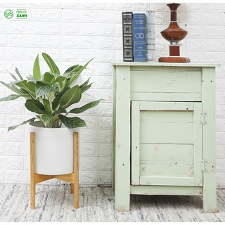 Đôn đựng chậu cây cảnh, kệ để chậu cây cao cấp | Kệ gỗ tần bì chân tròn, lắp ghép đơn giản