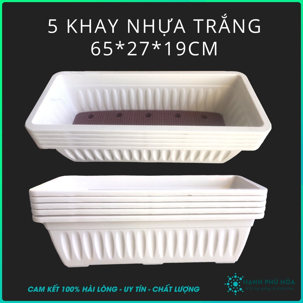 COMBO 5 Khay Nhựa Trắng 67*27*19cm- rồng Rau Mầm, Rau Xà Lách, Rau Gia Vị - Nhẹ, Bền, Đa Năng, Có Lỗ Thoát Nước