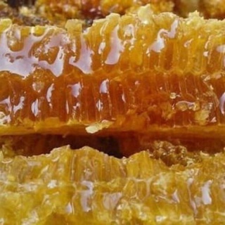 Mật ong hoa nhãn Hưng Yên
