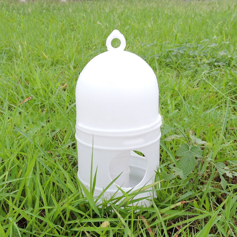 Dụng Cụ Đựng Nước Uống Cho Chim Bồ Câu Bằng Nhựa Tiện Dụng