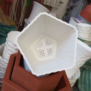 Combo chậu của khách ib