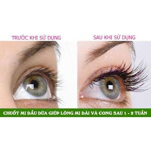 Mascara dầu dừa - chuốt mi dừa