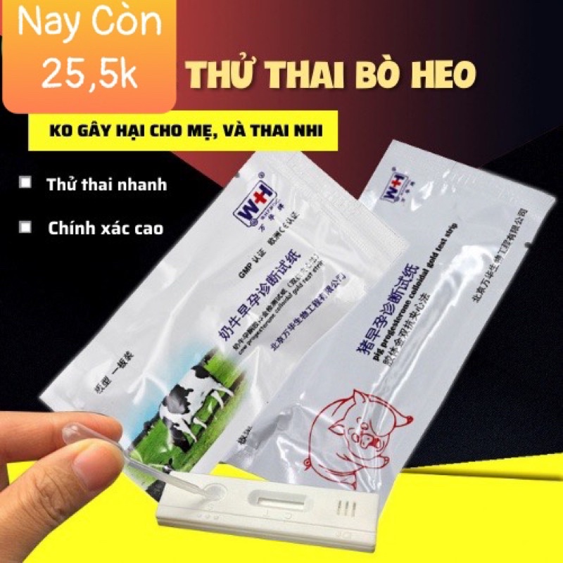 QUE THỬ THAI BÒ - TRÂU - HEO hiệu quả cao và nhanh chóng
