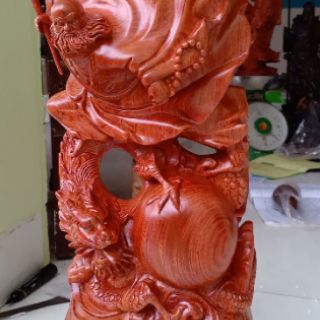 Đạt Ma Hàng Long (Đạt Ma Thế Võ)