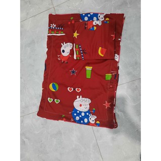 Bộ ga vỏ gối thun hàn quốc 1m2*2m