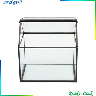 Chậu Kính Trồng Cây Mọng Nước Họa Tiết Hình Học Cho Hồ Cảnh Xastpz1 [Xastpz1]